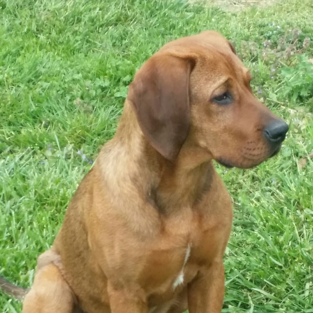 Meet your Posher, Cynthia